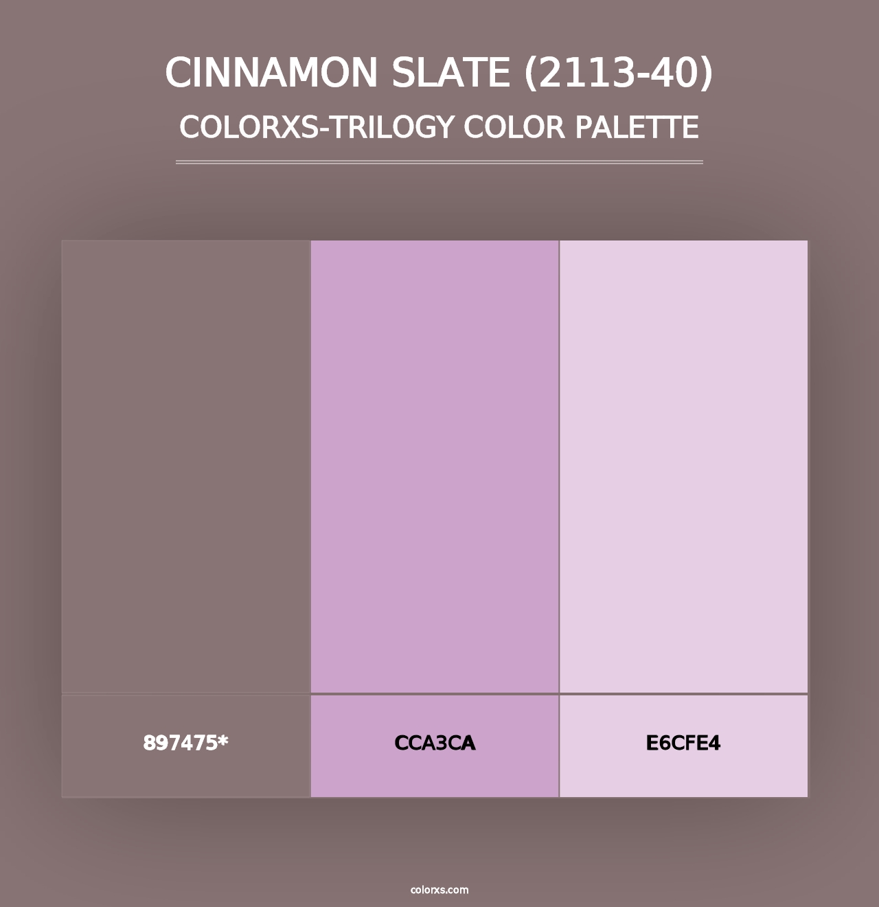 Cinnamon Slate (2113-40) - Colorxs Trilogy Palette