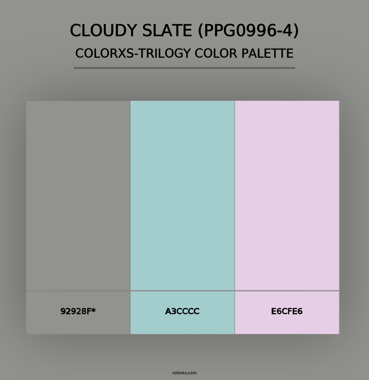 Cloudy Slate (PPG0996-4) - Colorxs Trilogy Palette