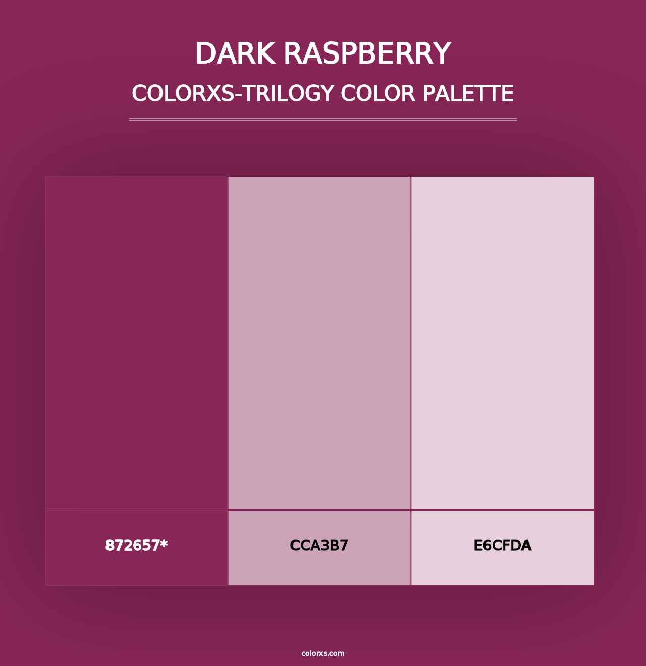 Dark Raspberry - Colorxs Trilogy Palette