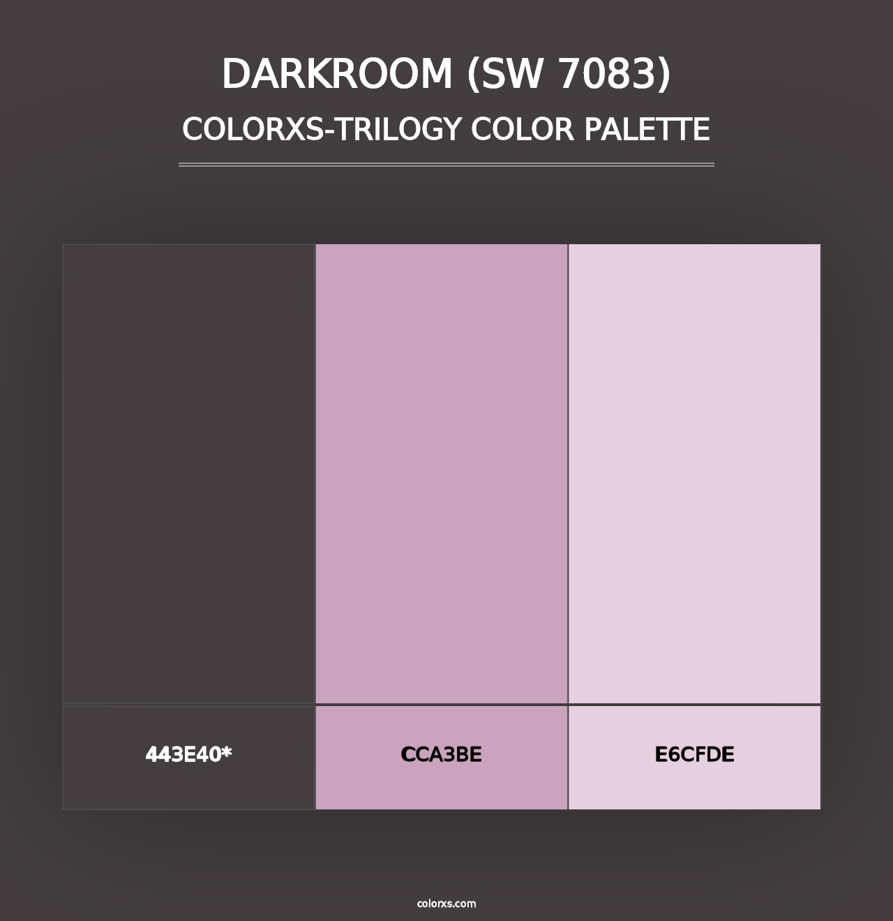 Darkroom (SW 7083) - Colorxs Trilogy Palette