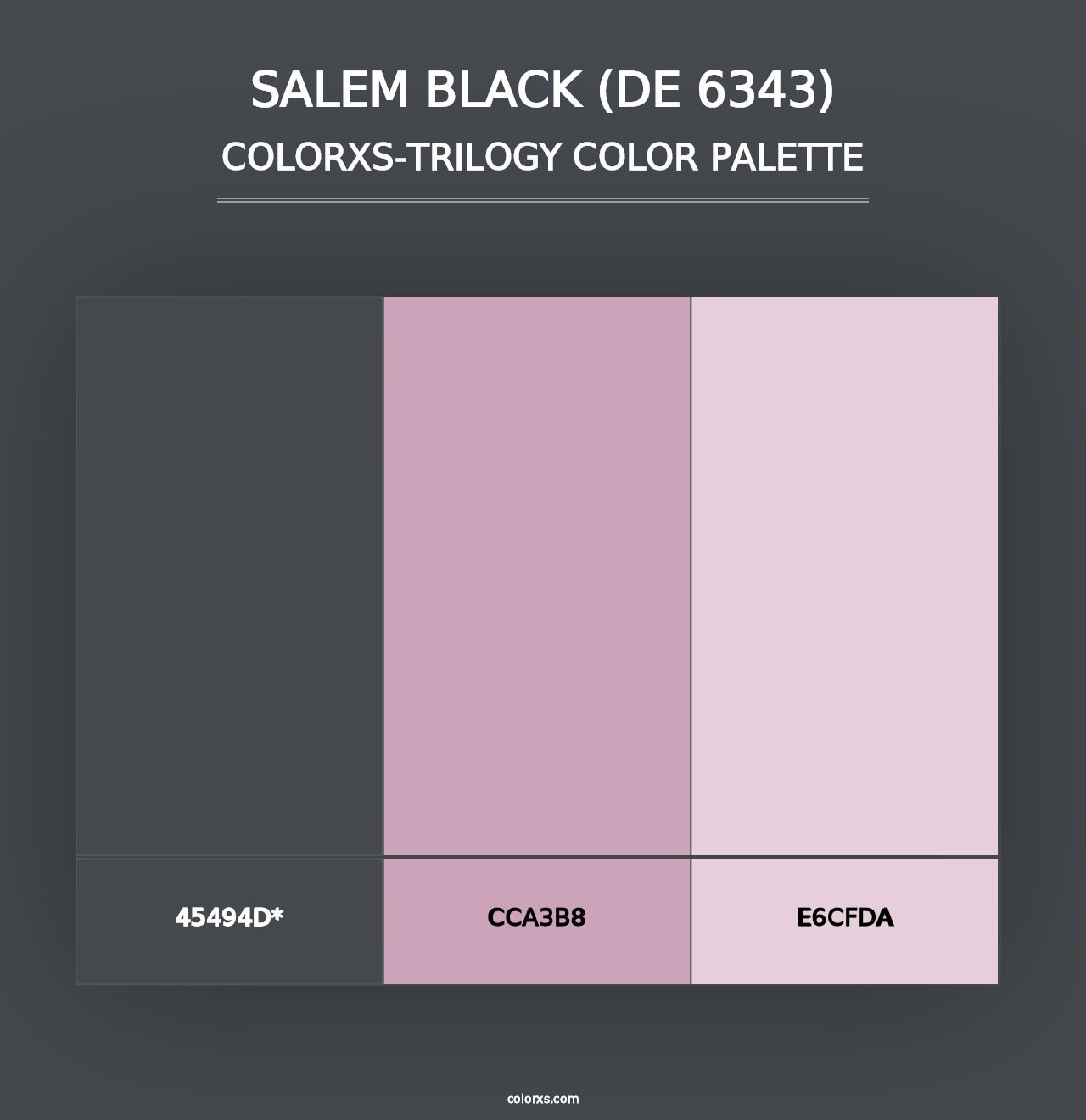 Salem Black (DE 6343) - Colorxs Trilogy Palette