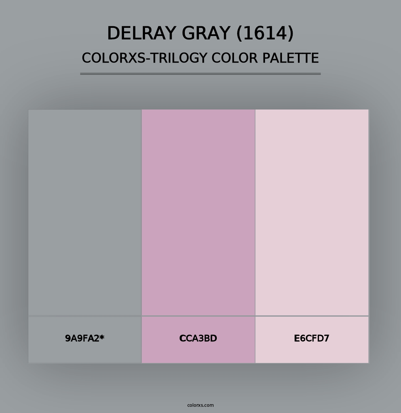 Delray Gray (1614) - Colorxs Trilogy Palette