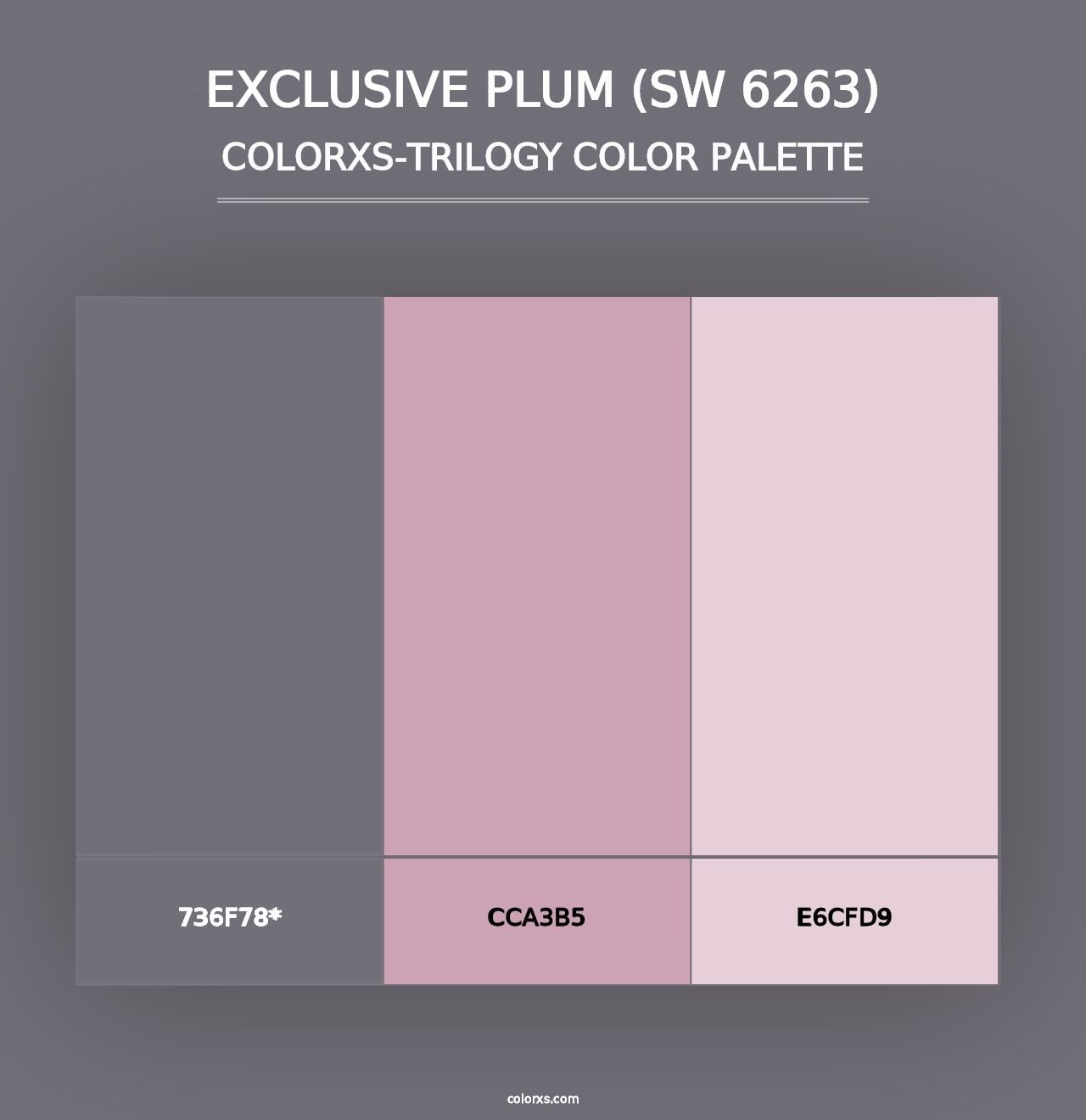 Exclusive Plum (SW 6263) - Colorxs Trilogy Palette