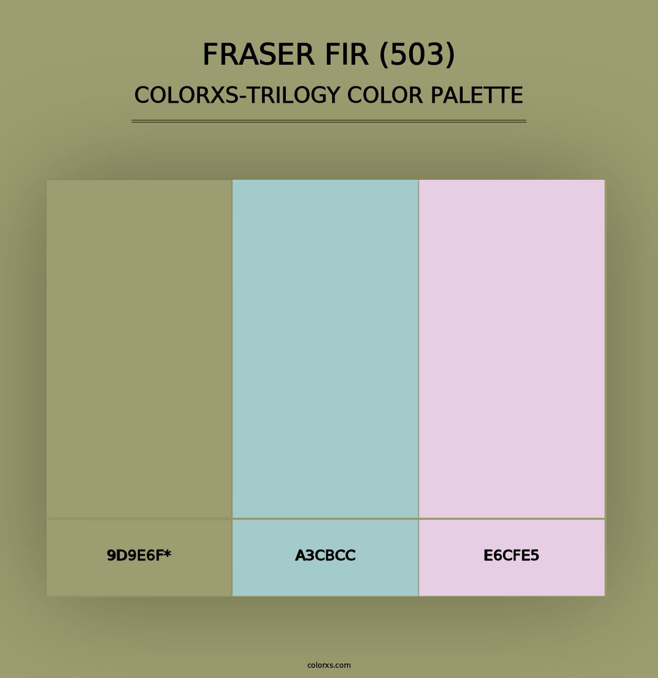 Fraser Fir (503) - Colorxs Trilogy Palette