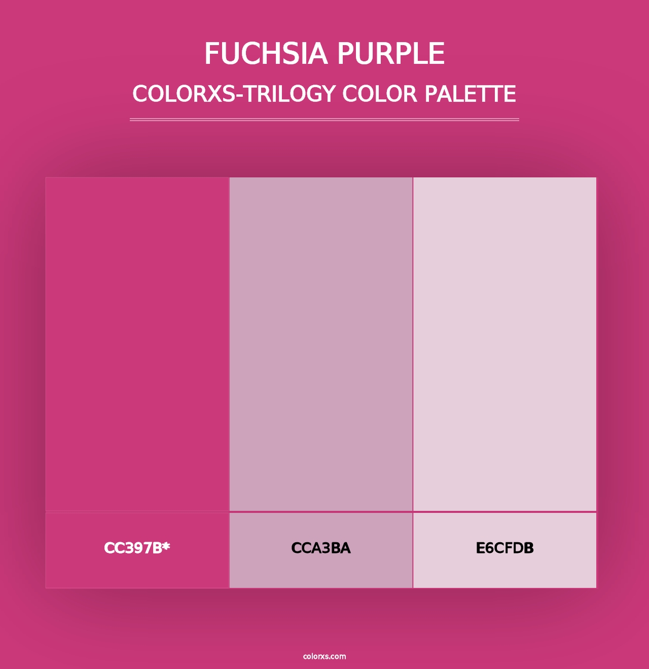 Fuchsia Purple - Colorxs Trilogy Palette