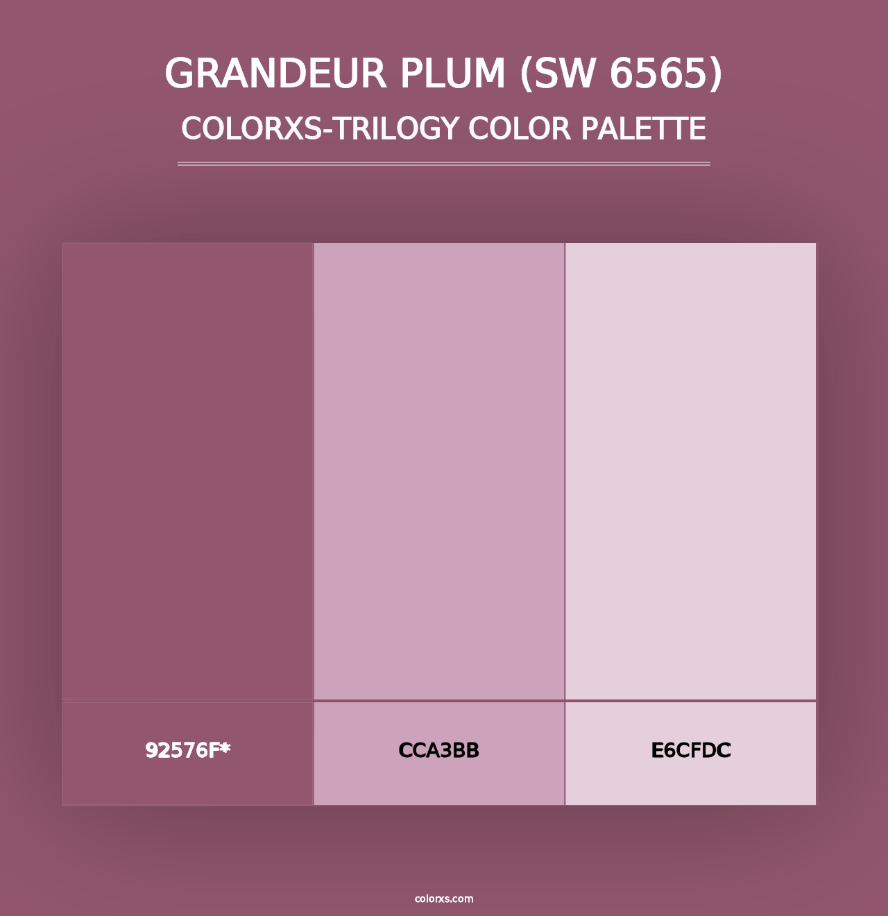 Grandeur Plum (SW 6565) - Colorxs Trilogy Palette