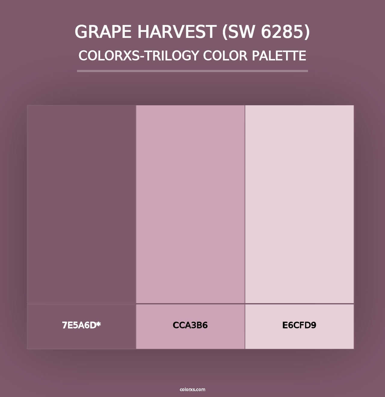 Grape Harvest (SW 6285) - Colorxs Trilogy Palette