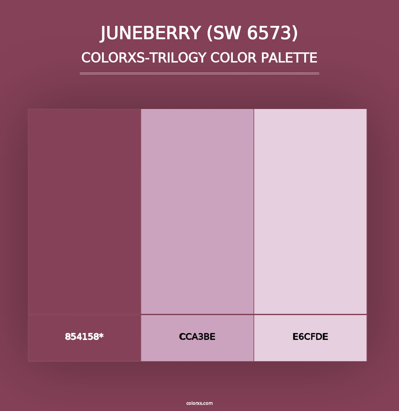 Juneberry (SW 6573) - Colorxs Trilogy Palette