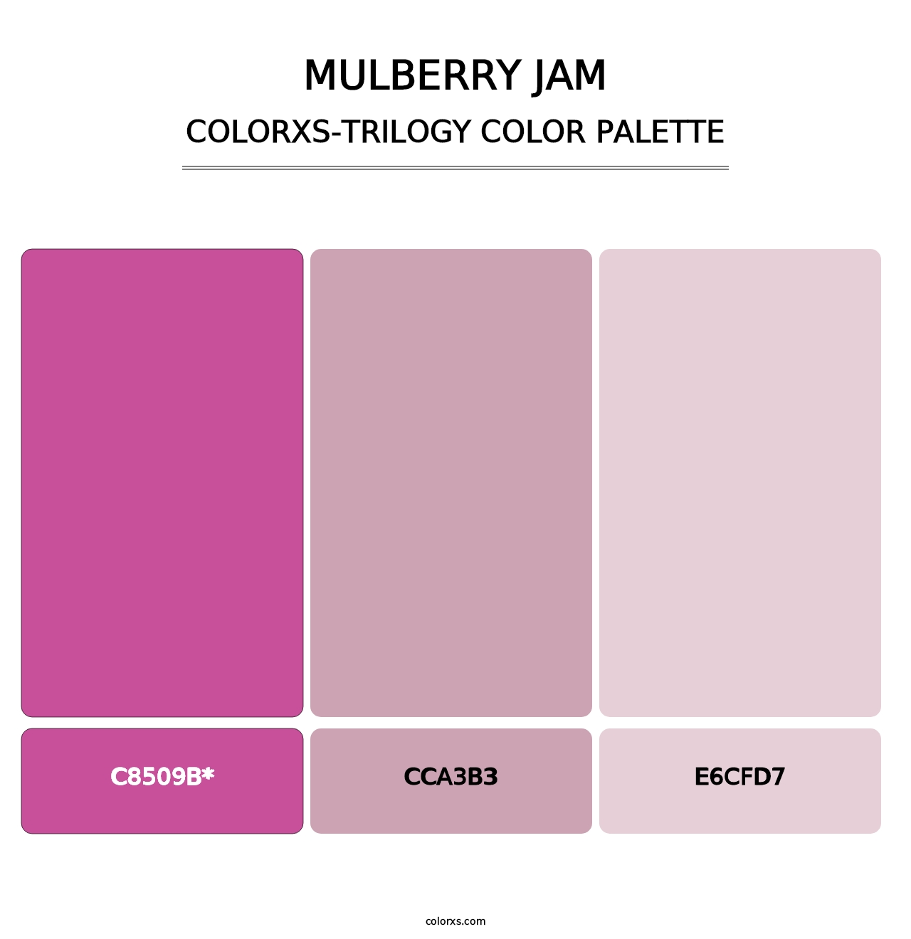 Mulberry Jam - Colorxs Trilogy Palette