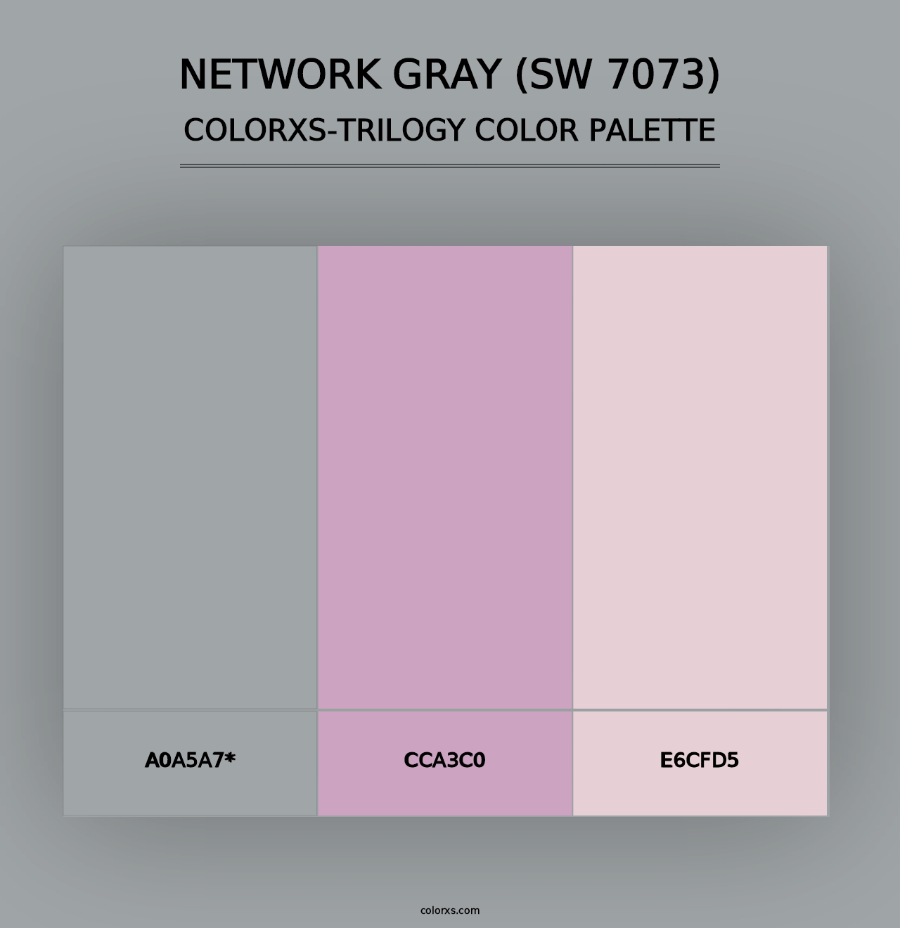 Network Gray (SW 7073) - Colorxs Trilogy Palette