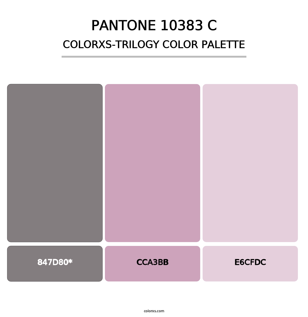 PANTONE 10383 C - Colorxs Trilogy Palette