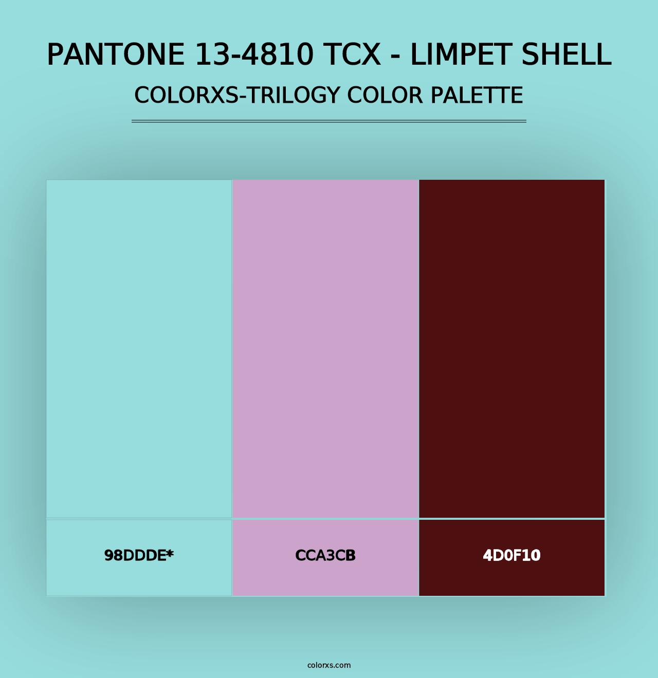 PANTONE 13-4810 TCX - Limpet Shell - Colorxs Trilogy Palette