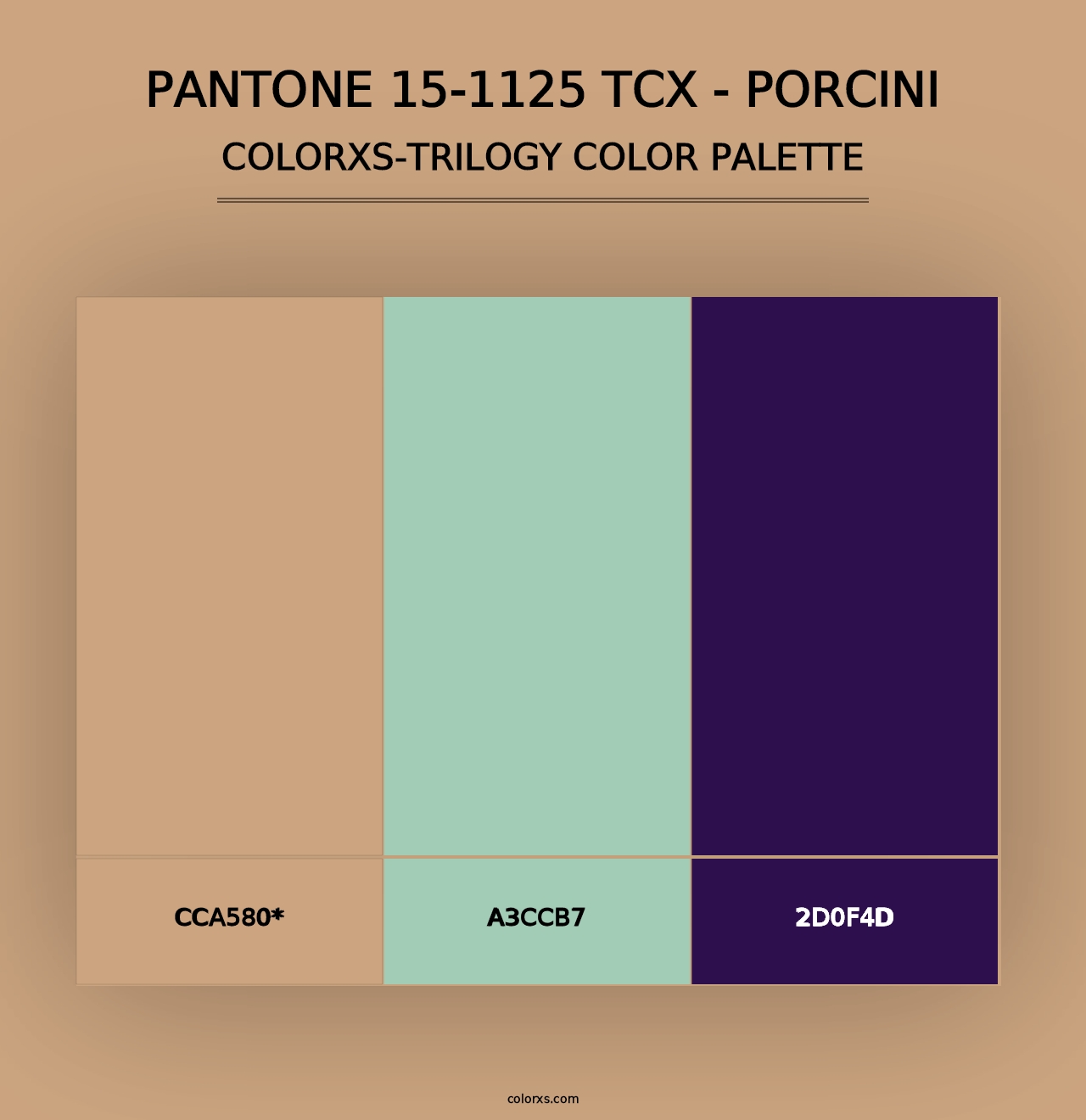 PANTONE 15-1125 TCX - Porcini - Colorxs Trilogy Palette