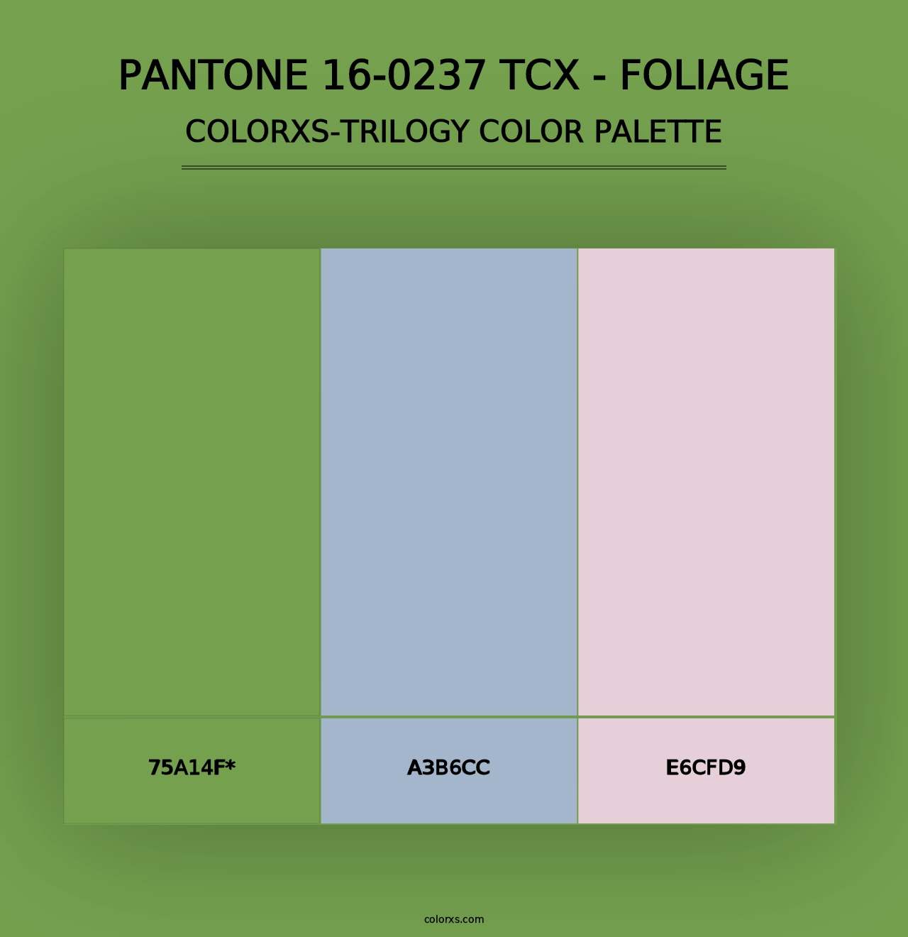 PANTONE 16-0237 TCX - Foliage - Colorxs Trilogy Palette