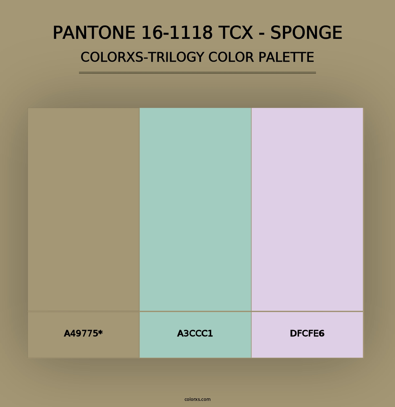 PANTONE 16-1118 TCX - Sponge - Colorxs Trilogy Palette