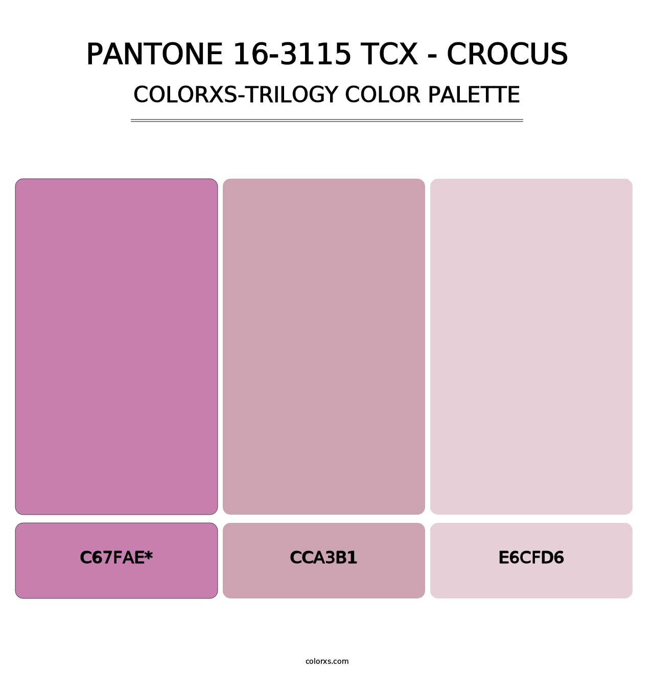 PANTONE 16-3115 TCX - Crocus - Colorxs Trilogy Palette