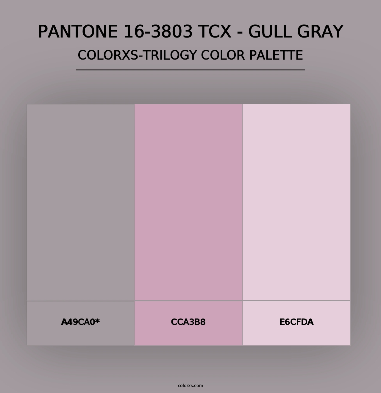 PANTONE 16-3803 TCX - Gull Gray - Colorxs Trilogy Palette