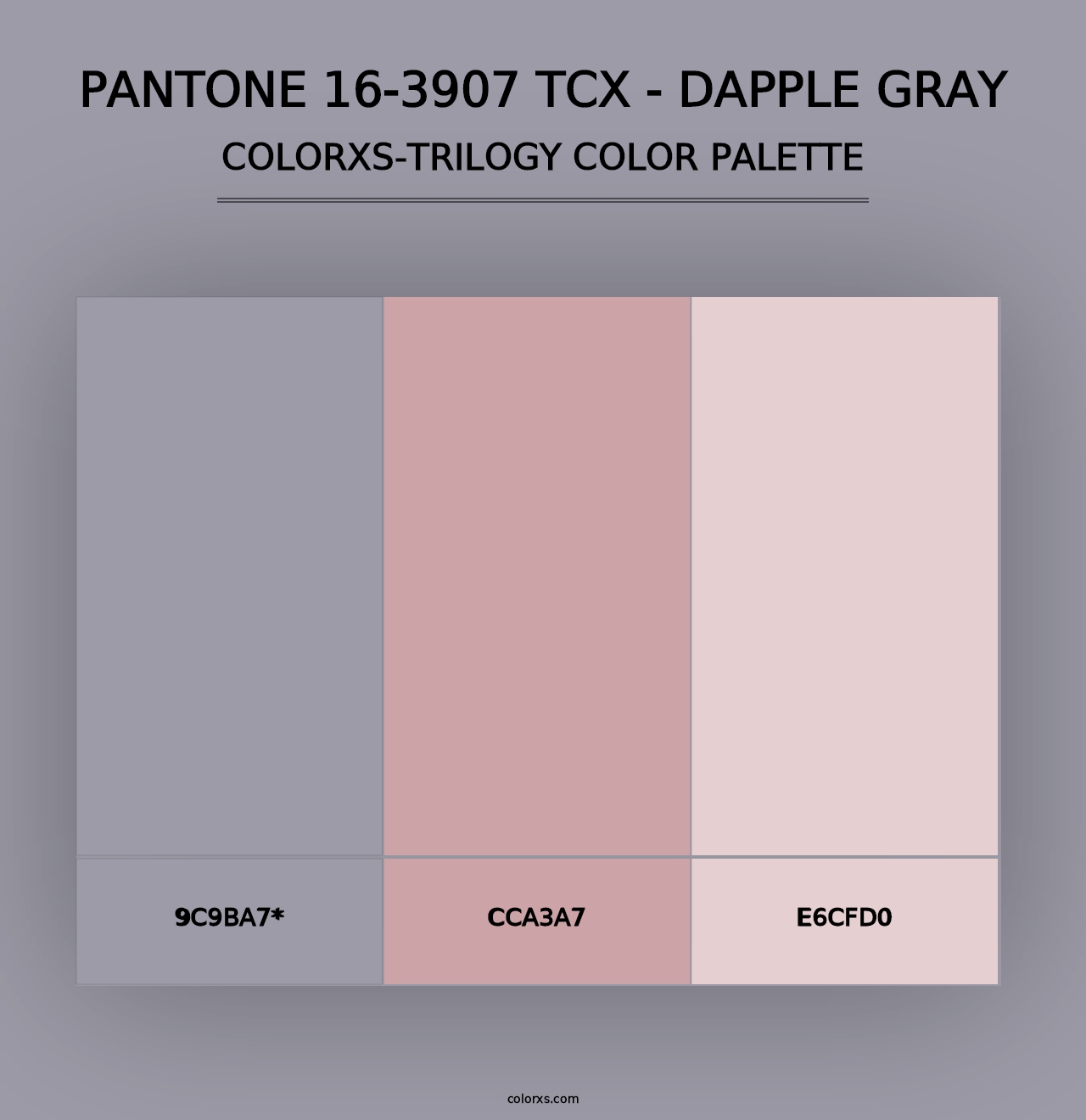 PANTONE 16-3907 TCX - Dapple Gray - Colorxs Trilogy Palette