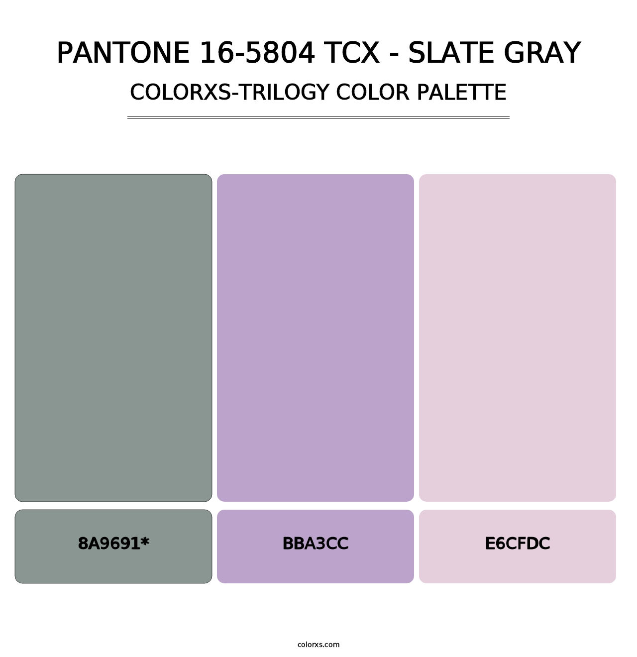 PANTONE 16-5804 TCX - Slate Gray - Colorxs Trilogy Palette