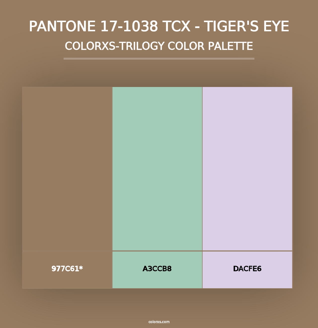 PANTONE 17-1038 TCX - Tiger's Eye - Colorxs Trilogy Palette