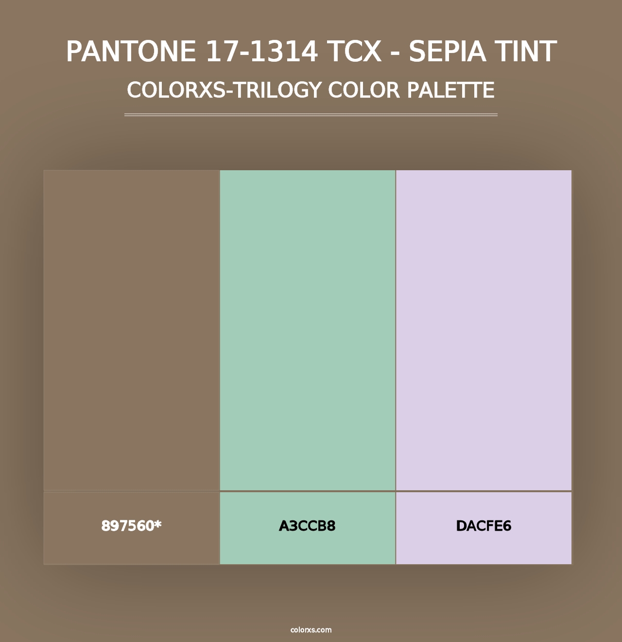 PANTONE 17-1314 TCX - Sepia Tint - Colorxs Trilogy Palette