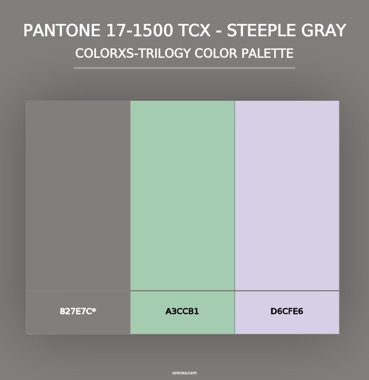 PANTONE 17-1500 TCX - Steeple Gray - Colorxs Trilogy Palette