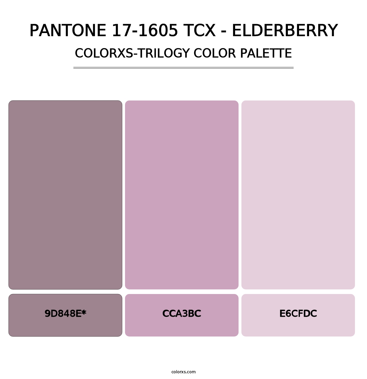 PANTONE 17-1605 TCX - Elderberry - Colorxs Trilogy Palette