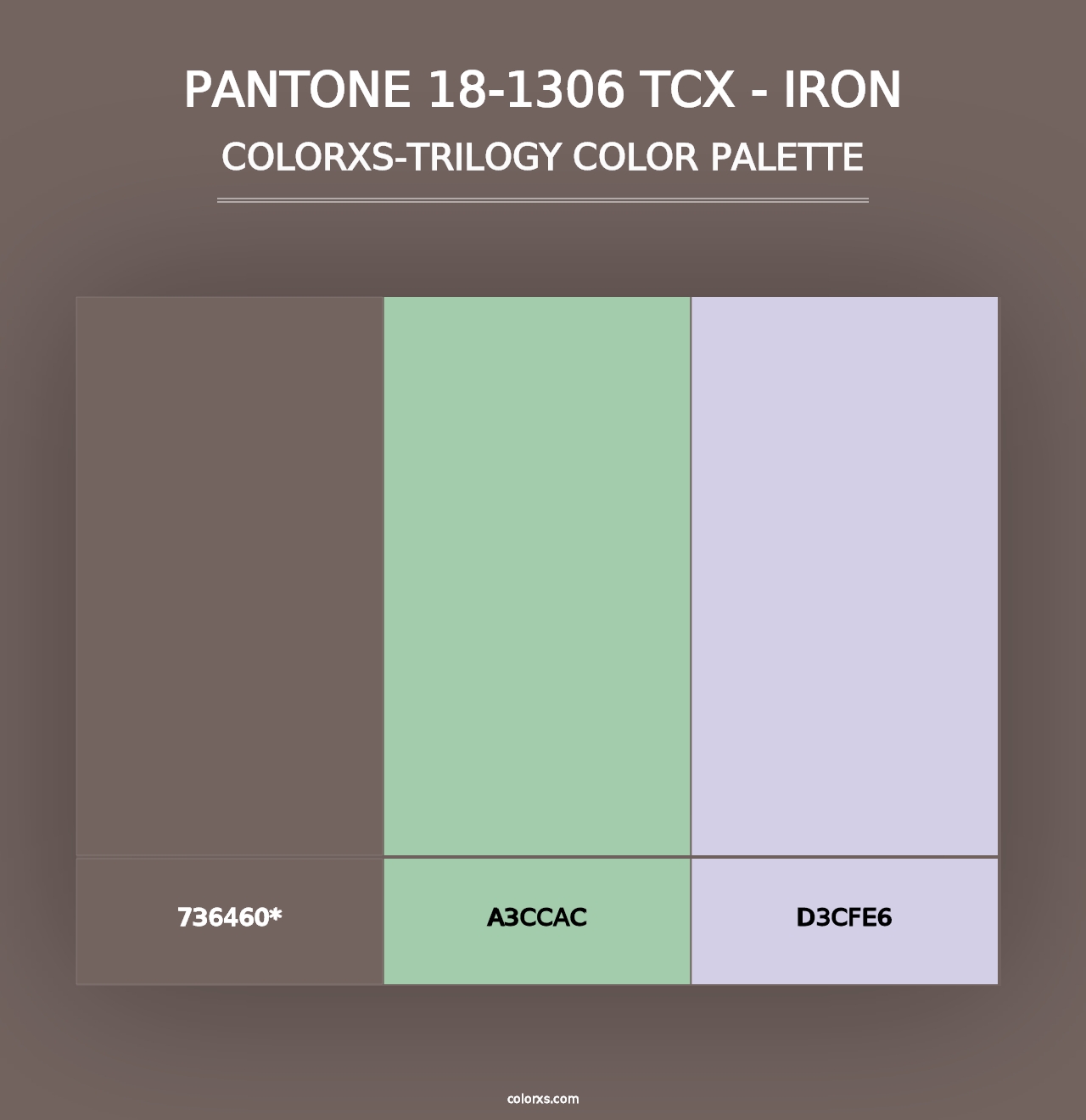 PANTONE 18-1306 TCX - Iron - Colorxs Trilogy Palette