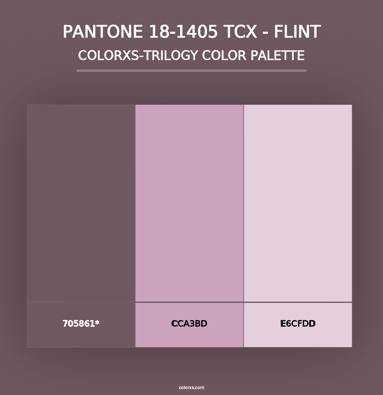 PANTONE 18-1405 TCX - Flint - Colorxs Trilogy Palette