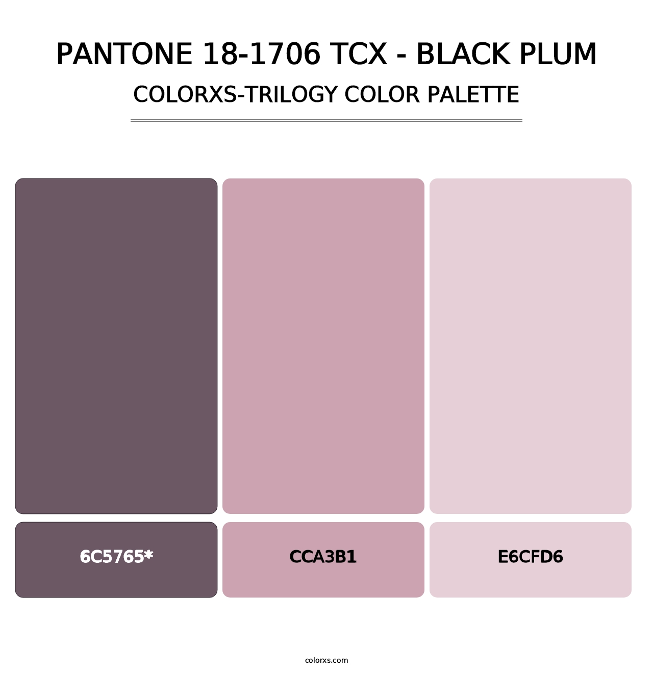 PANTONE 18-1706 TCX - Black Plum - Colorxs Trilogy Palette