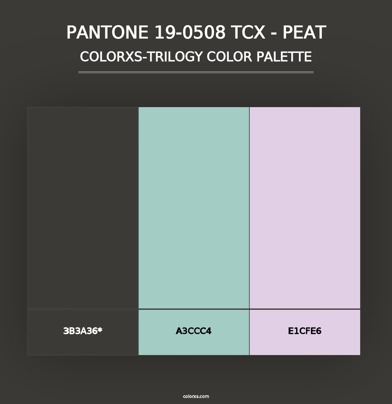 PANTONE 19-0508 TCX - Peat - Colorxs Trilogy Palette