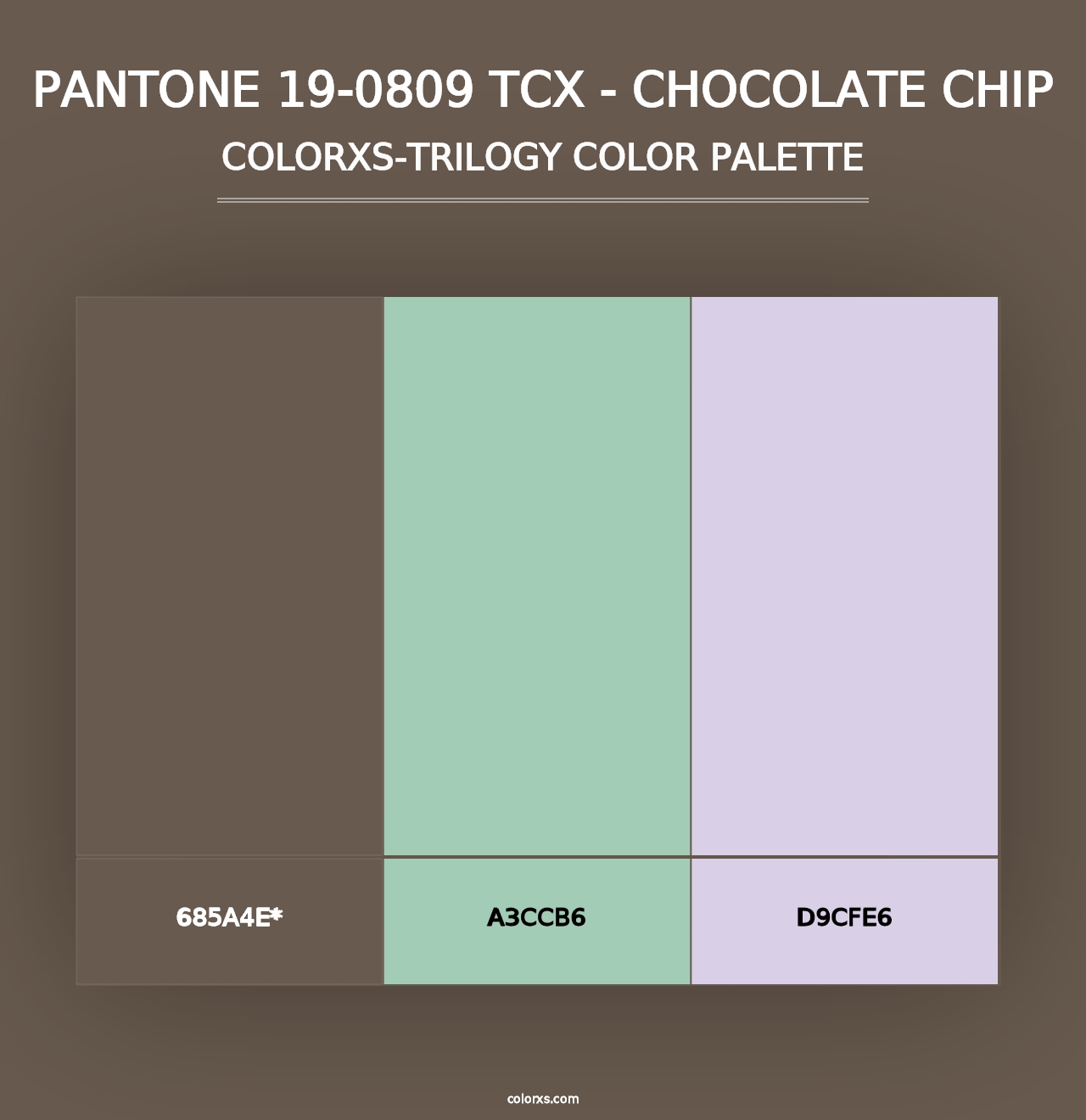 PANTONE 19-0809 TCX - Chocolate Chip - Colorxs Trilogy Palette