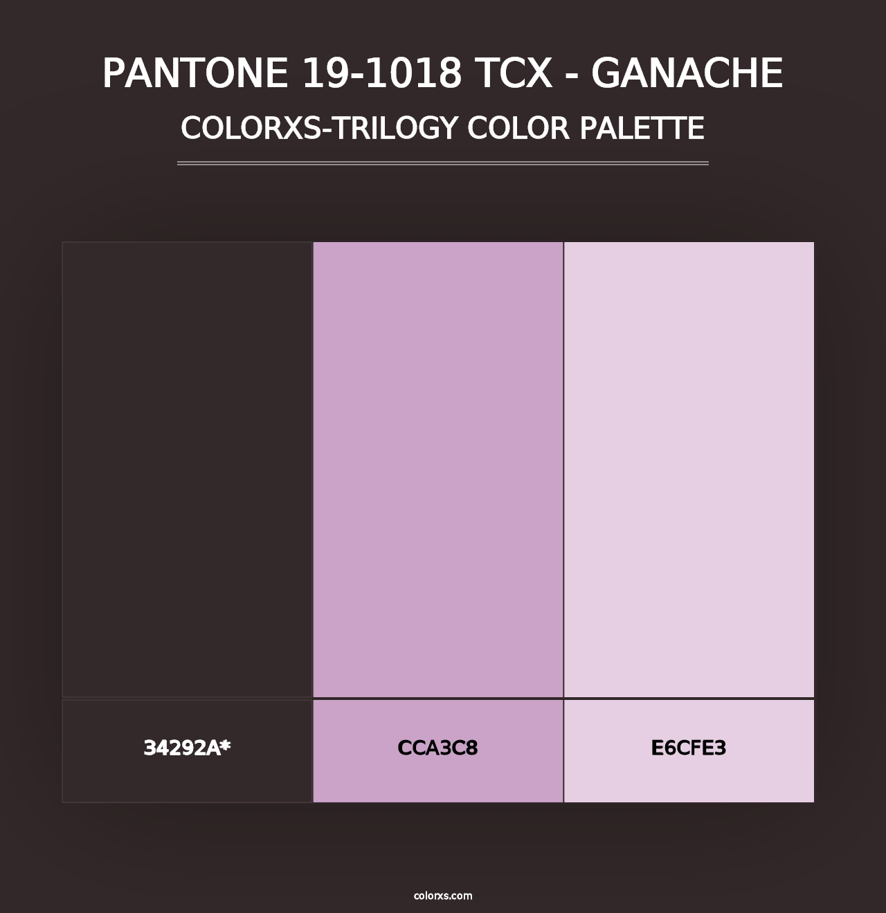 PANTONE 19-1018 TCX - Ganache - Colorxs Trilogy Palette