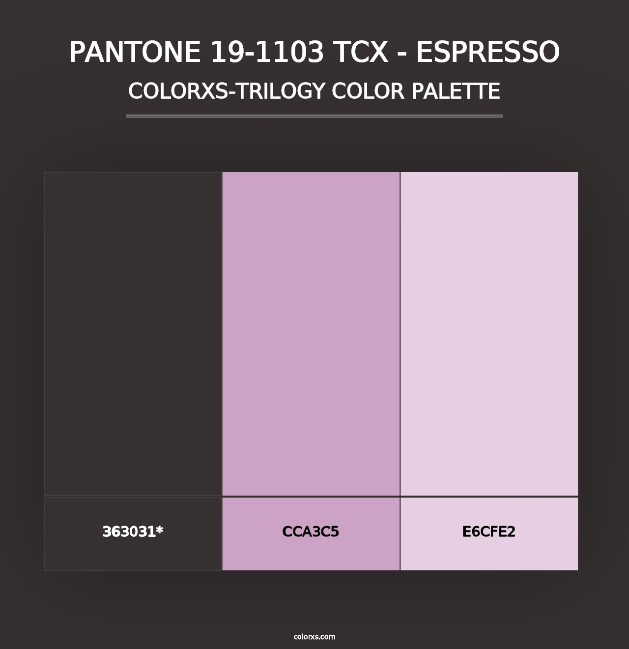 PANTONE 19-1103 TCX - Espresso - Colorxs Trilogy Palette