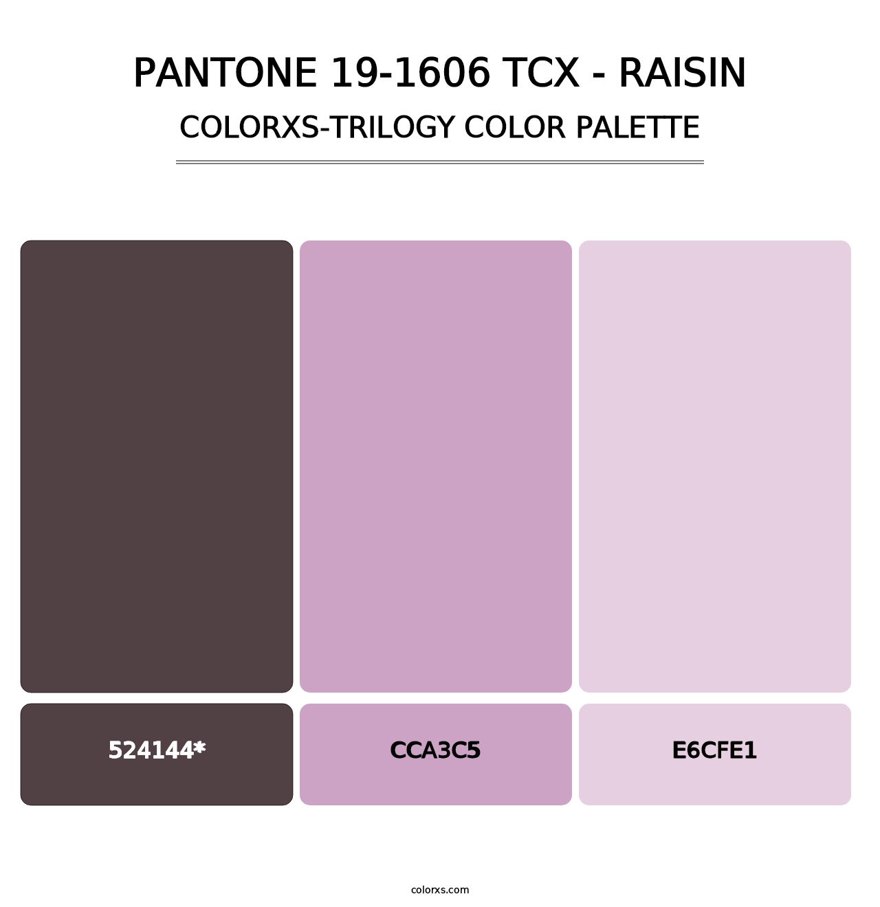 PANTONE 19-1606 TCX - Raisin - Colorxs Trilogy Palette