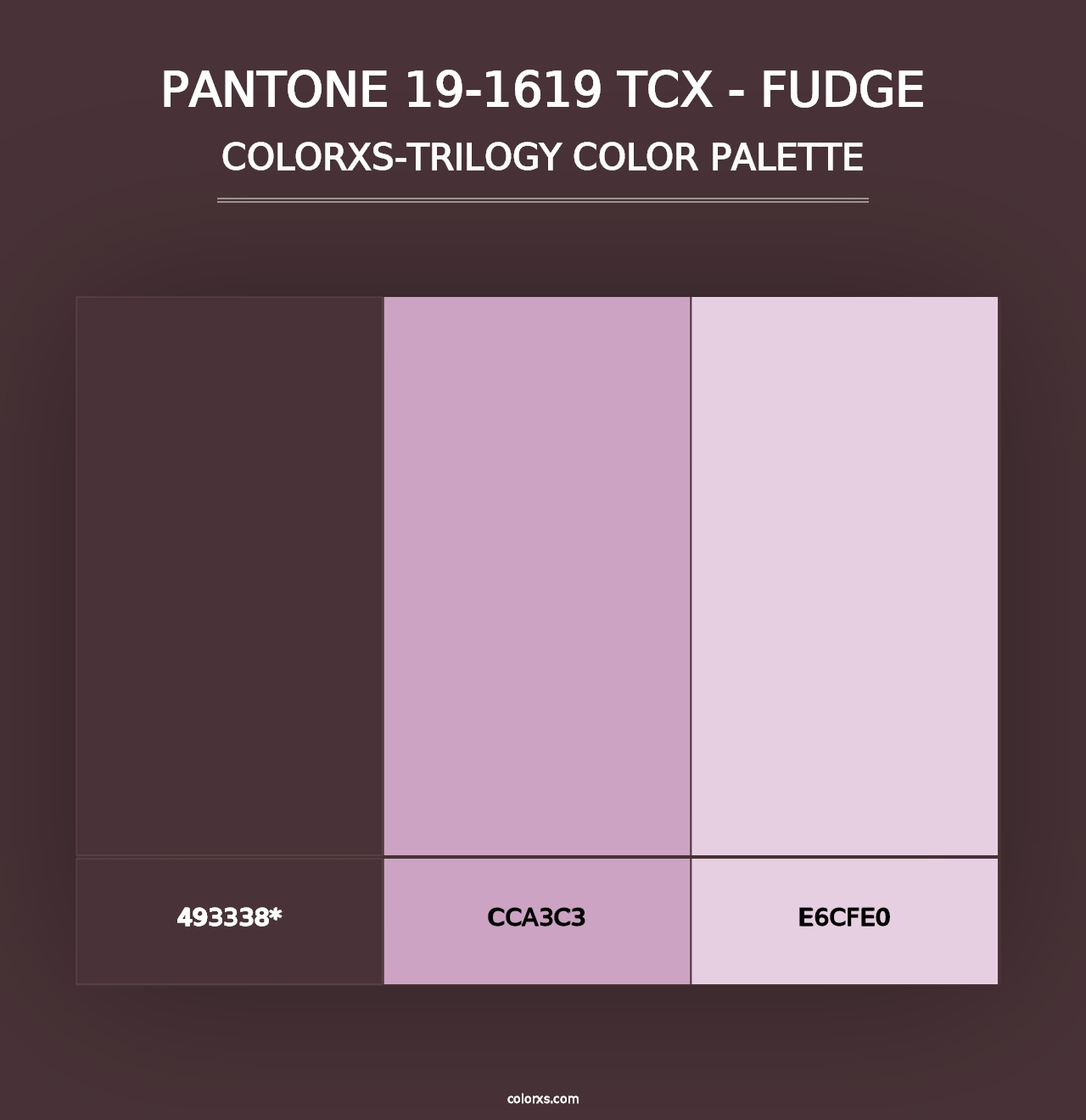 PANTONE 19-1619 TCX - Fudge - Colorxs Trilogy Palette