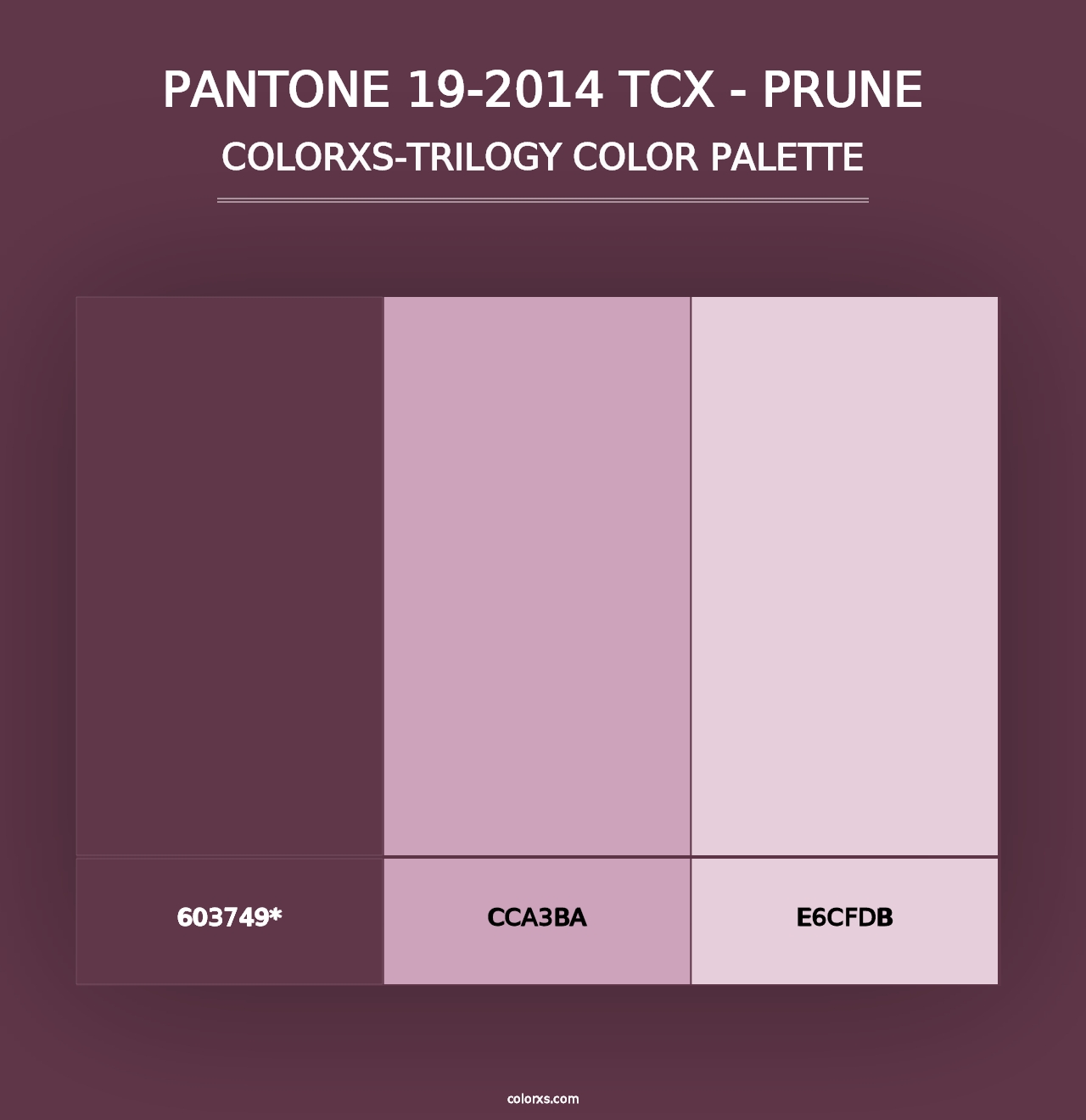 PANTONE 19-2014 TCX - Prune - Colorxs Trilogy Palette