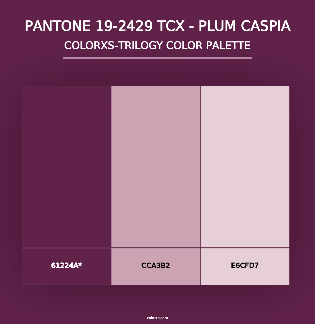 PANTONE 19-2429 TCX - Plum Caspia - Colorxs Trilogy Palette