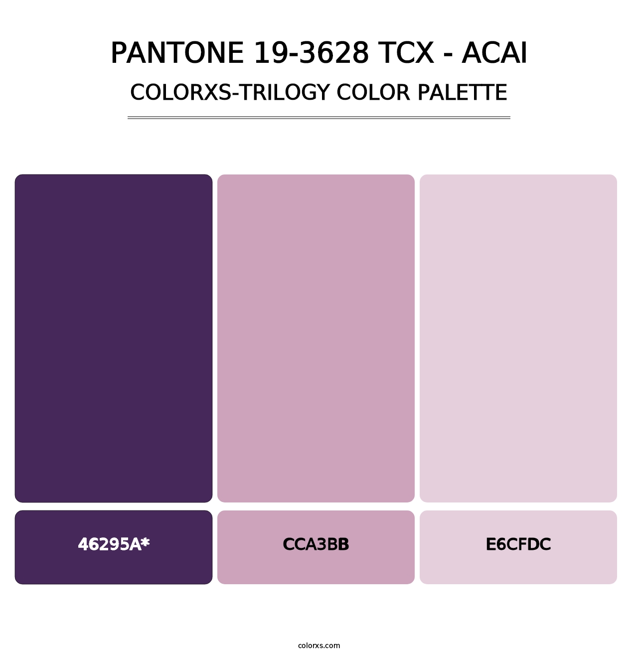 PANTONE 19-3628 TCX - Acai - Colorxs Trilogy Palette