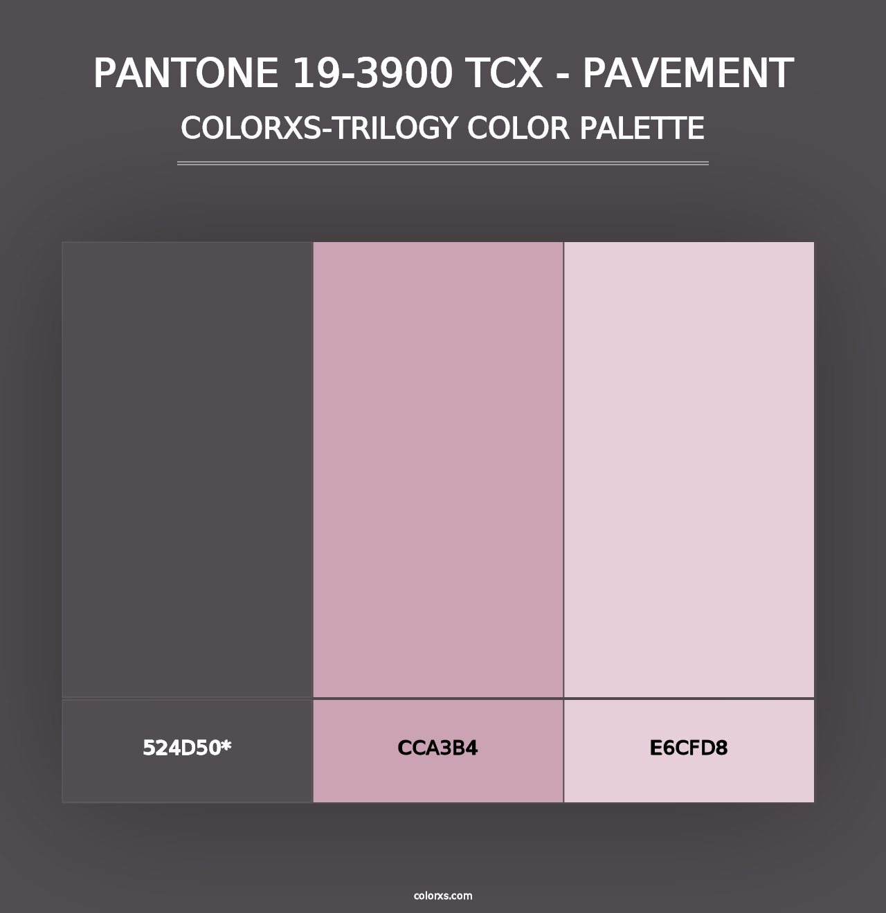 PANTONE 19-3900 TCX - Pavement - Colorxs Trilogy Palette