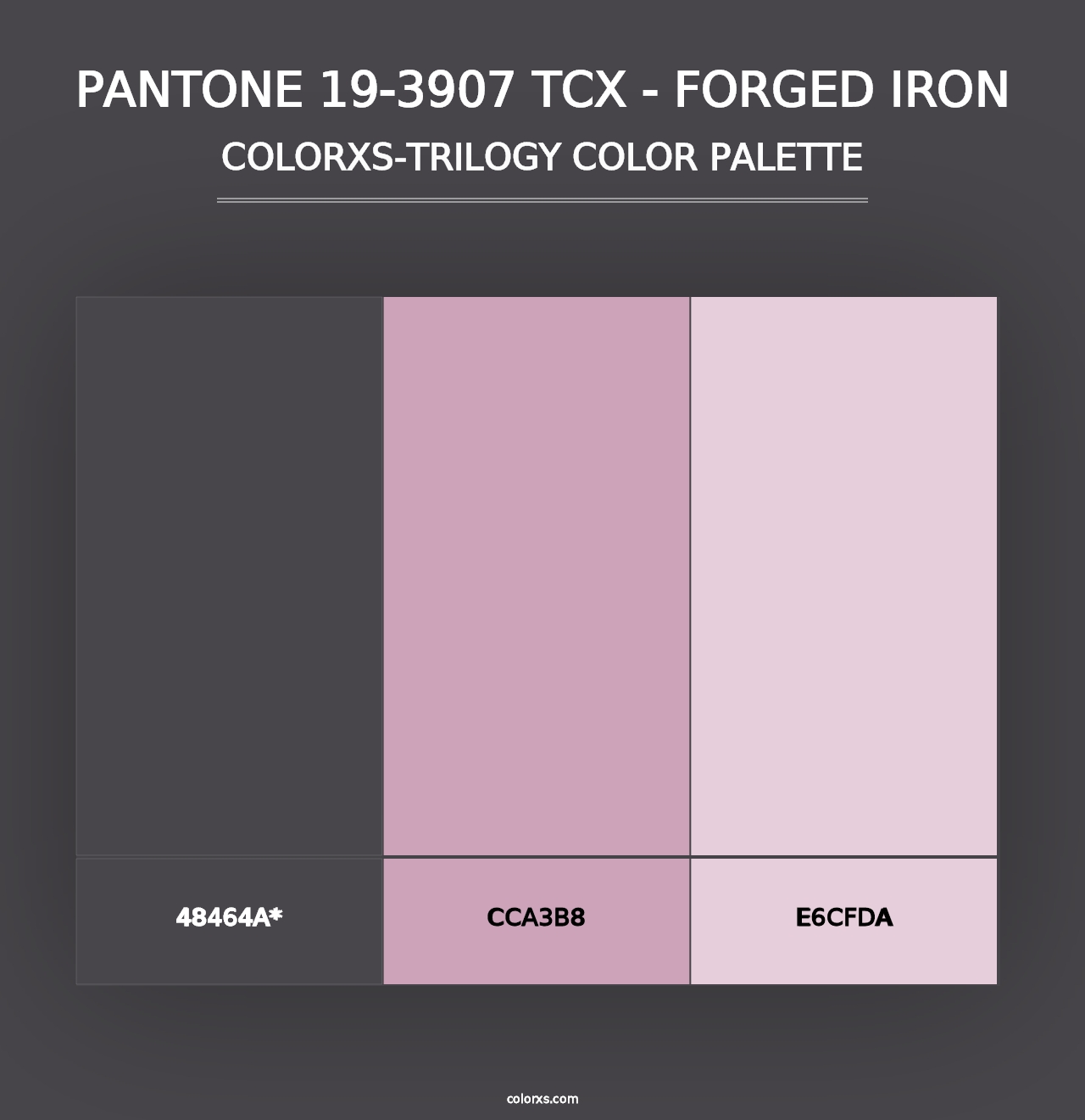 PANTONE 19-3907 TCX - Forged Iron - Colorxs Trilogy Palette