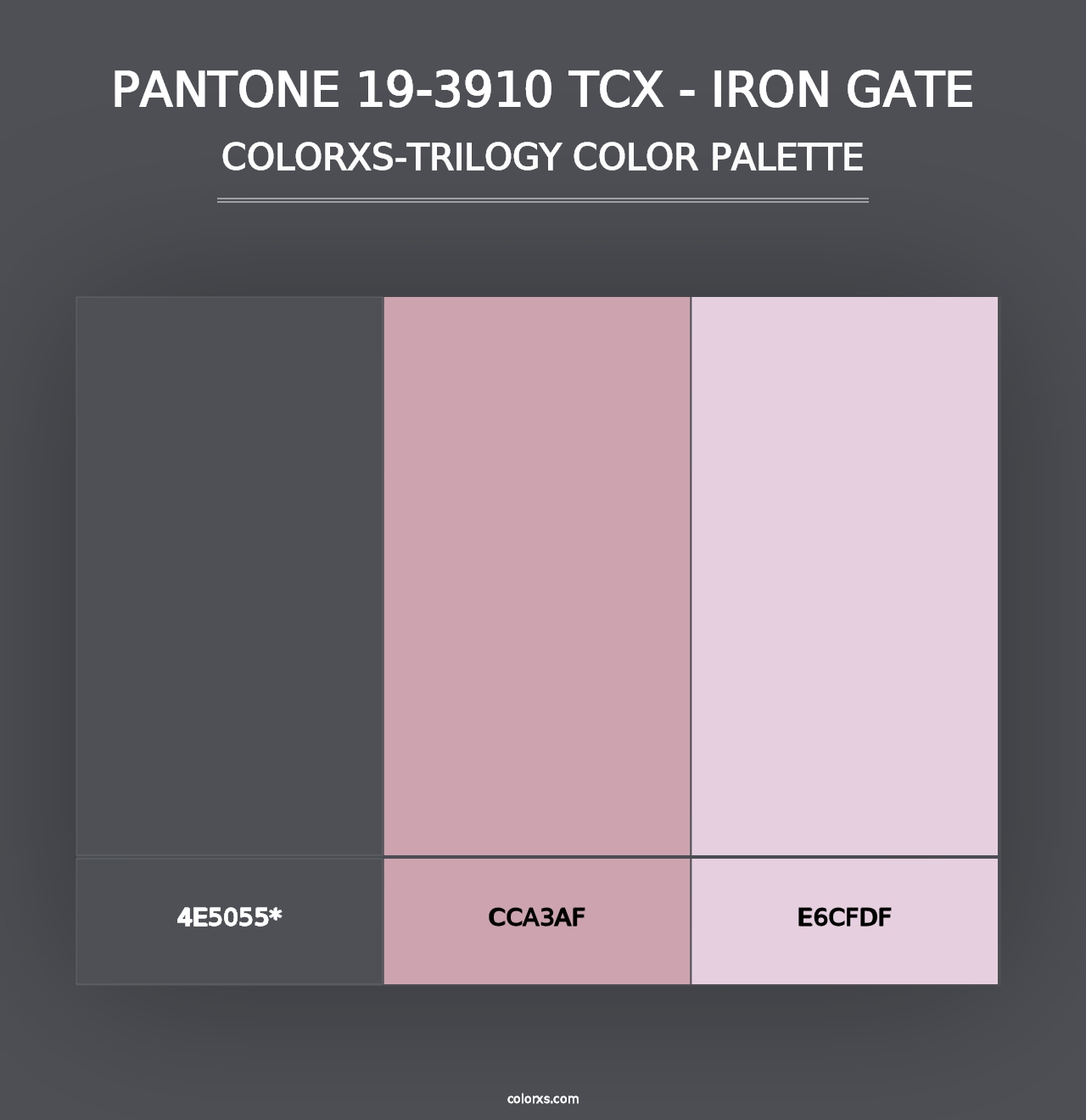 PANTONE 19-3910 TCX - Iron Gate - Colorxs Trilogy Palette