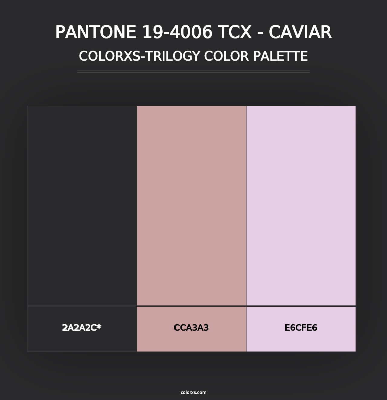 PANTONE 19-4006 TCX - Caviar - Colorxs Trilogy Palette