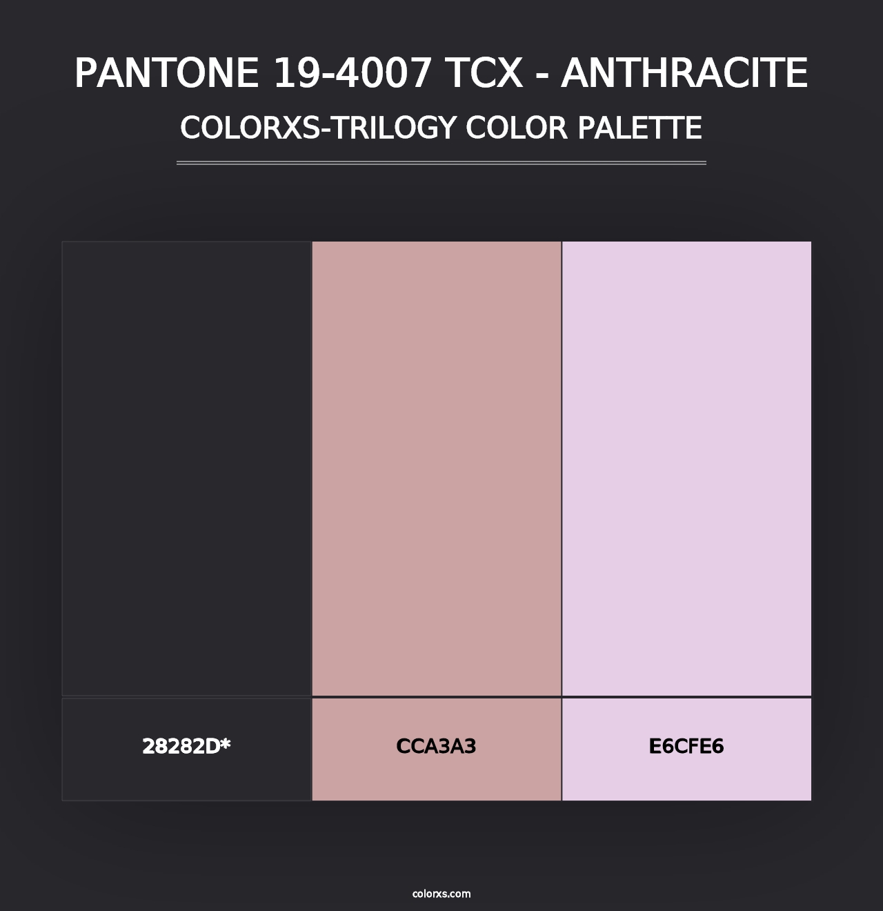 PANTONE 19-4007 TCX - Anthracite - Colorxs Trilogy Palette