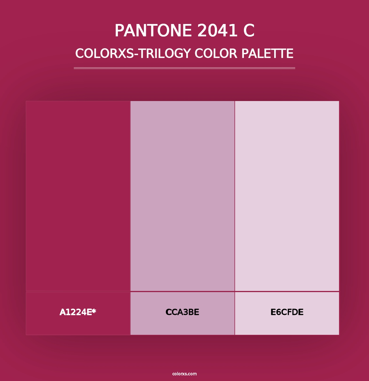 PANTONE 2041 C - Colorxs Trilogy Palette