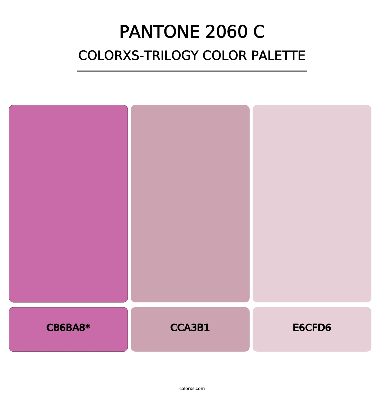 PANTONE 2060 C - Colorxs Trilogy Palette
