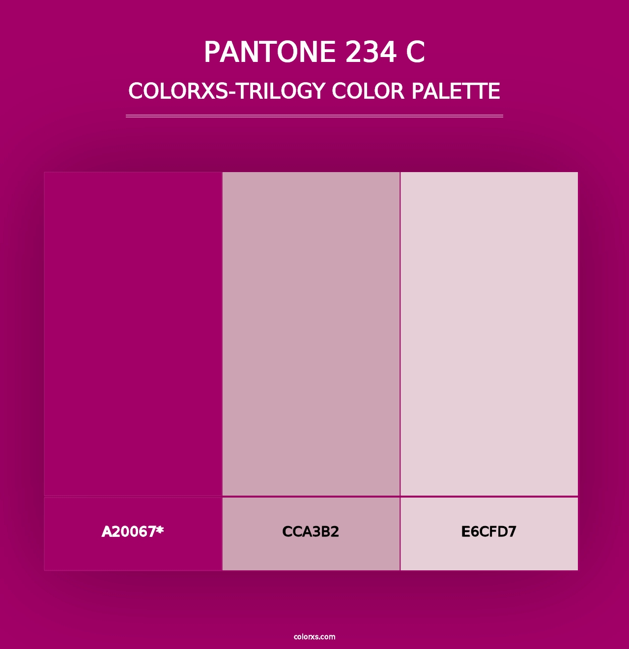 PANTONE 234 C - Colorxs Trilogy Palette