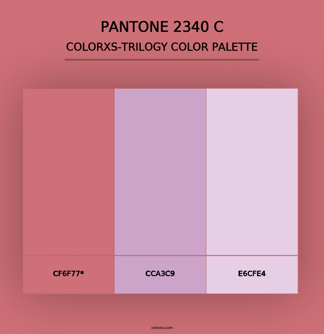 PANTONE 2340 C - Colorxs Trilogy Palette