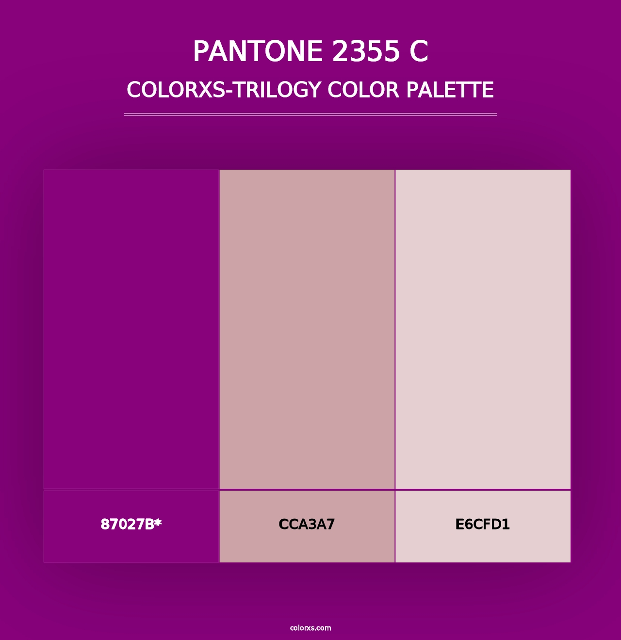 PANTONE 2355 C - Colorxs Trilogy Palette