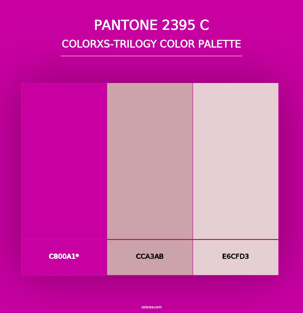 PANTONE 2395 C - Colorxs Trilogy Palette